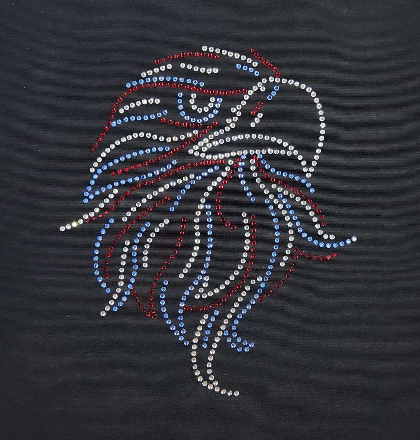USA Eagle Rhinestone T Shirt